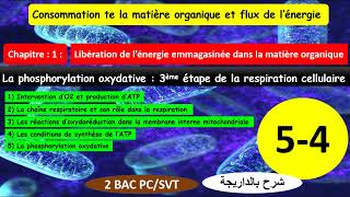 La phosphorylation oxydative شرح بالداريجة partie 54 [upl. by Rory800]