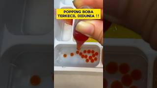 POPPING BOBA TERKECIL DIDUNIA  GEMES BGT [upl. by Ahsratal]