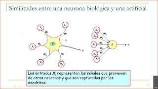 06a Redes Neuronales 27 05 2021 [upl. by Ganny]