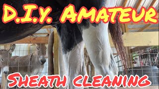 DIY Amateur Horse Sheath Cleaning [upl. by Acirtap]