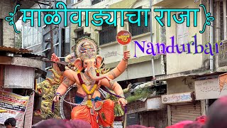 माळीवाड्याचा राजा GANESH BAPPA 🕉️ NANDURBAR Super Vajantri 🥁🎺 ganeshchaturthi nandurbarganesha [upl. by Viki]