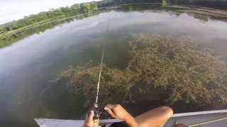 Northern Pike Fishing with Spinnerbaits [upl. by Niras808]