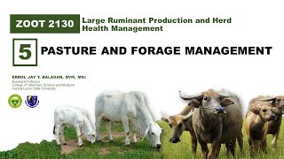 Pasture and Forage Management [upl. by Sisco836]