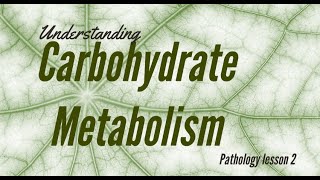 CARBOHYDRATE METABOLISM AND ITS PATHOLOGIES  PATHOLOGY V LECTURE [upl. by Girard]