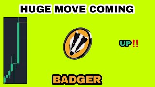 BADGER COIN HUGE MOVE COMING IN 2024‼️ BADGER DAO PRICE IS GOING UP‼️ BADGER CRYPTO GAINING TRACTION [upl. by Atsiuqal681]