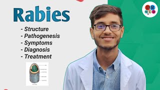 Rabies virus  Management of a dog bite  Community medicine  Microbiology bangla lecture [upl. by Erodoeht]