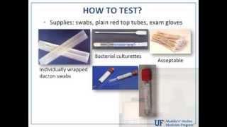 How When and Who to Test for Canine Infectious Respiratory Disease Complex  conference recording [upl. by Acinok228]