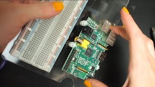 Pi Dish for Raspberry Pi by Adafruit [upl. by Drofiar]