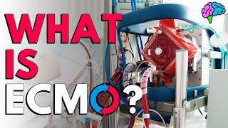 What is ECMO The basics explained [upl. by Adirahs143]