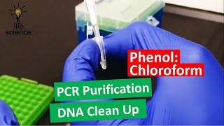 DNA Extraction  Improved PhenolChloroform Method [upl. by Marthe]