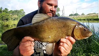 Tench Fishing On Method Feeder [upl. by Minda]