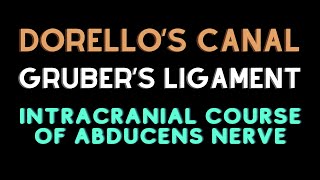 Intracranial course of abducent nerve Dorellos canal Grubers ligament [upl. by Bruner]