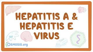 Hepatitis A and hepatitis E virus  causes symptoms diagnosis treatment pathology [upl. by Reinhardt]