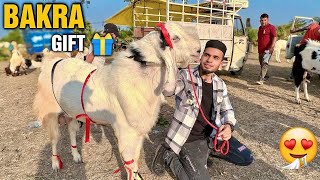 BAKRA mila GIFT main 😍 BHOPAL BAKRA MANDI VLOG  AL AAMIR KHAN [upl. by Secor985]