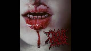 Odious Emesis Destruction of Flesh Full Album [upl. by Sothena351]