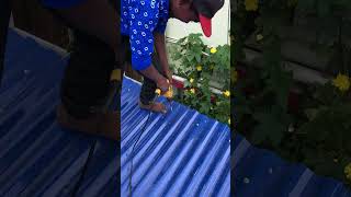 Roofing Sheets Installation shortvideo viralvideo youtubeshorts [upl. by Ferreby]