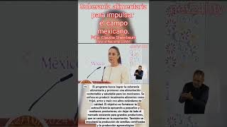 Soberanía alimentaria para impulsar el campo mexicano net24htv claudiasheinbaum [upl. by Anaig]