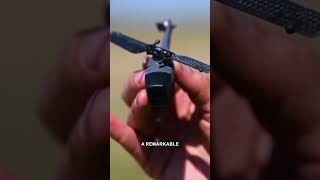 Discovering the Black Hornet Nano Drone nanodrone militrydrones ytshorts [upl. by Yrred]