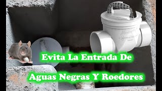 Como instalar una válvula check o antiretorno para drenaje 🚽 EVITA LA ENTRADA DE AGUAS NEGRAS [upl. by Sande265]