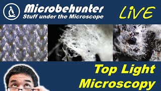 Top light microscopy [upl. by Singband709]