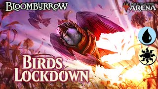 Locking Down Birds tribal for the meta  Azorius  Standard Ranked  Bloomburrow [upl. by Ahens]