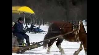 小岩井農場（岩手県盛岡市）いわて雪祭りの模様です [upl. by Hallee]