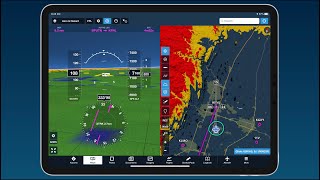 Pilot In Command  Decision Making amp Inflight Safety [upl. by Rogers284]