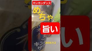 缶缶ダンス 大人の飲み物 ビール 先行販売 好調 ソレイユ [upl. by Yelak717]