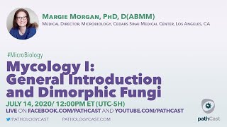 Mycology I General Introduction and Dimorphic Fungi  Dr Morgan Cedars Sinai MICROBIOLOGY [upl. by Ahsillek427]