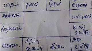 Rasi Chart Basics  ராசி கட்டம்  Rasi Kattam in Tamil [upl. by Sigismond]