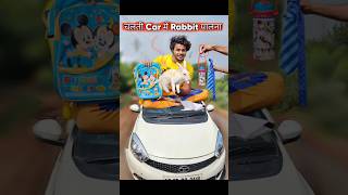 चलती Car मे खरगोश🐰पालना 🤣 rabbit comedy [upl. by Alane39]