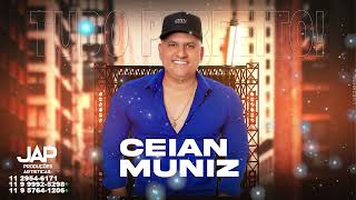 Ceian Muniz  CD Tá Tudo Perfeito Completo [upl. by Yetnruoc]