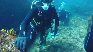 Scuba Diving the Rena Ship Wreck Astrolab Reef NZ [upl. by Eletnahc620]