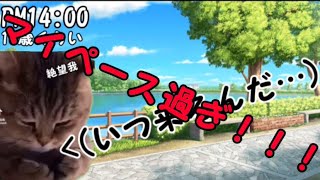 【猫ミーム】血液型あるあるB型編【猫マニ】 [upl. by Aicirtan]