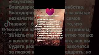 Важно❗️Благодарность делает чудеса любовь магия ведовство love рекомендации вселенная [upl. by Mezoff302]