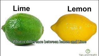 What is difference between lemon and Lime [upl. by Atiuqal332]