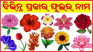 ଫୁଲ ର ନାମ  Flowers Name with Pictures in English to Odia  Learn Flower Names in odia  kidz world [upl. by Vieva]