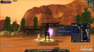 Silkroad Online  What is Precious Artifact [upl. by Aidnahs]