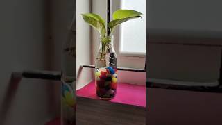 Simple plant decor ideas [upl. by Arlyn]