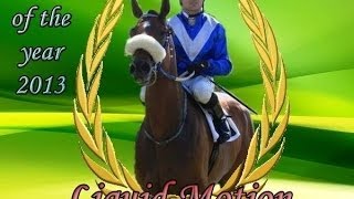 Liquid Motion Horse Of The Year 2013 [upl. by Auroora]