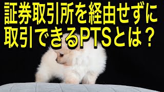 PTSとは何か？わかりやすく解説 [upl. by Iamhaj]