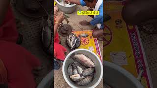 ✨Today ✅Hogenakkal River🌊 Jalebi🐠 Fish jalebi selling viral ontrending shortsfeed [upl. by Kimball196]