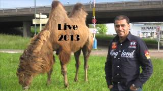 Cheb Bilal Sghir LiVe Mai 2013  Hadjala Ba Wladha  By Langou [upl. by Annice]