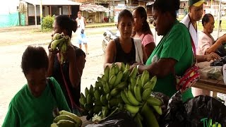 Agricultura en el Pacífico Colombiano  TvAgro por Juan Gonzalo Angel [upl. by Laverne592]