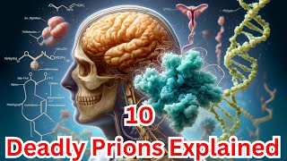 Top 10 Prions Explained Deadly Proteins You Need to Know About [upl. by Artamas317]