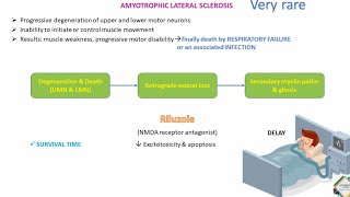 MULTIPLE SCLEROSIS amp AMYOTROPHIC LATERAL SCLEROSIS [upl. by Anavas586]