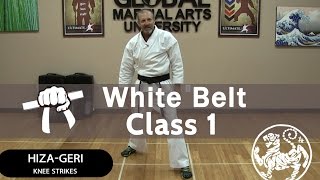 Shotokan Karate Follow Along Class  9th Kyu White Belt  Class 1 [upl. by Eiclehc]