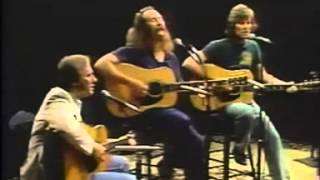 Crosby Stills Nash Teach Your Children [upl. by Binette402]