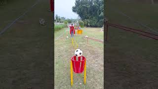 football accuracy and a whole lot of fun [upl. by Helaina778]