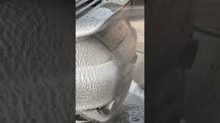 Turbo snow foam cardetailling carcare cleaning satisfyingdetail cleaningcar satisfying [upl. by Dahs]